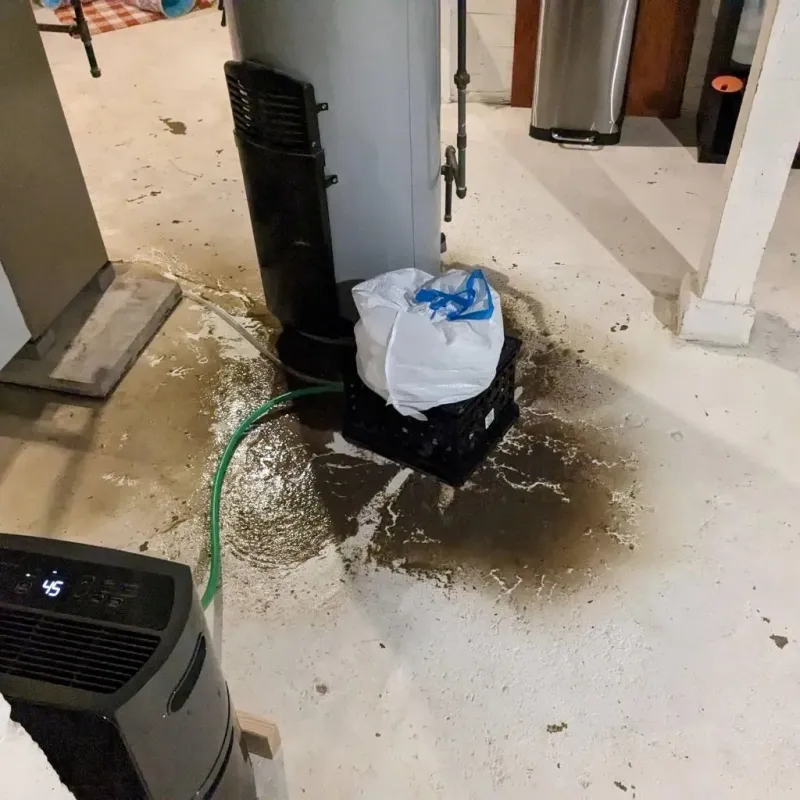 Sewage Backup Cleanup Service in Allen Parish, LA